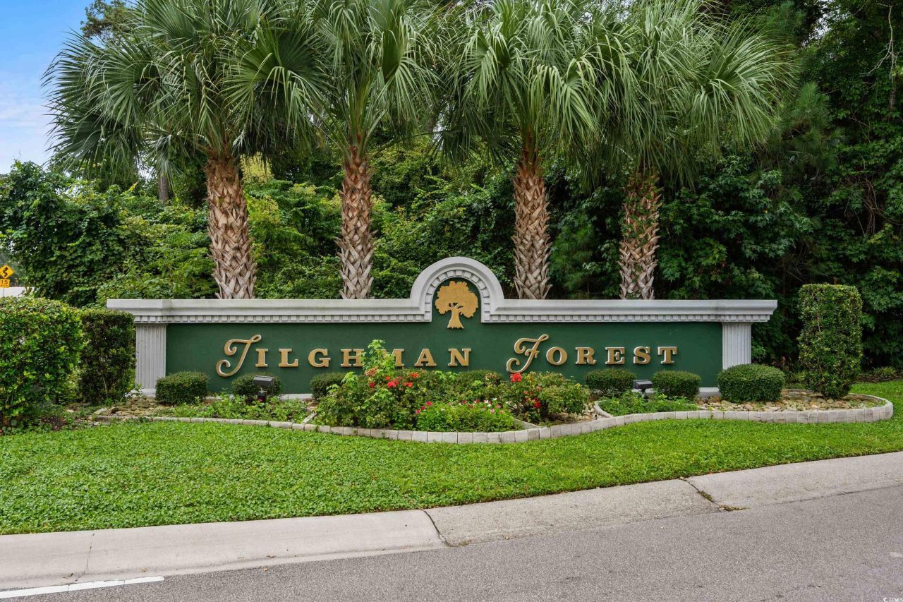 1010 Swan Lake Dr. Photo 38