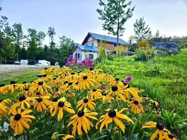 826 Bousquet Road, Lowell, VT 05847