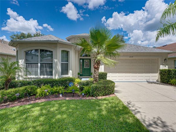 2530 CROSS MORE STREET, VALRICO, FL 33594