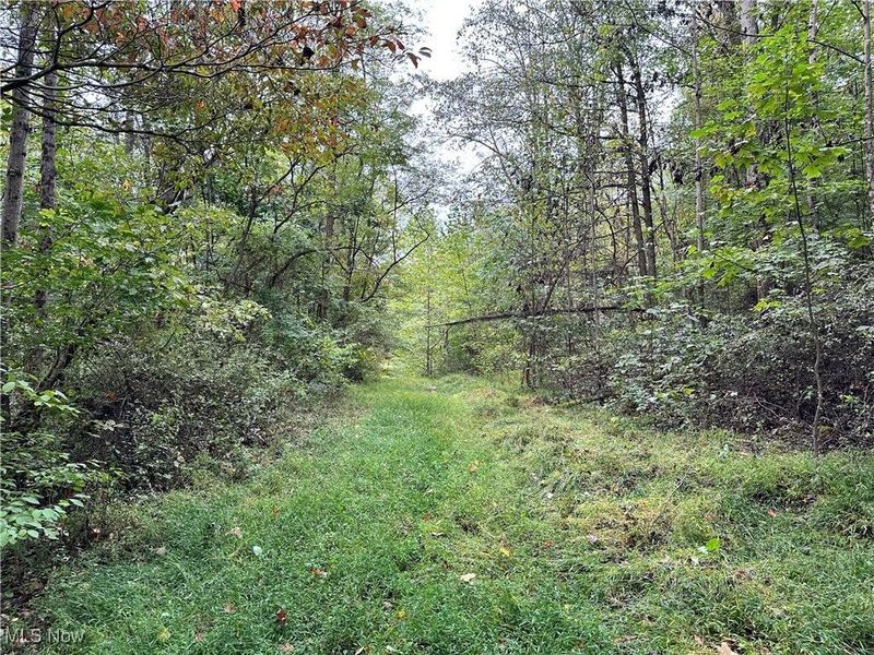 3275 Highland Ridge Rd Road, Lowell, OH 45744 Photo 5