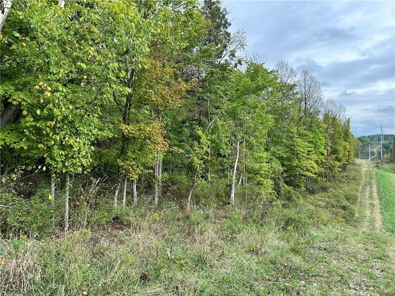 3275 Highland Ridge Rd Road, Lowell, OH 45744 Photo 6