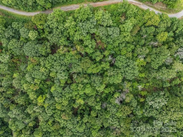 0 Peartree Drive, Lake Lure, NC 28746