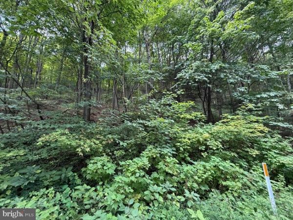 Lot 20 KITTANNING (OVERLAND PASS) RUN, CLAYSBURG, PA 16625