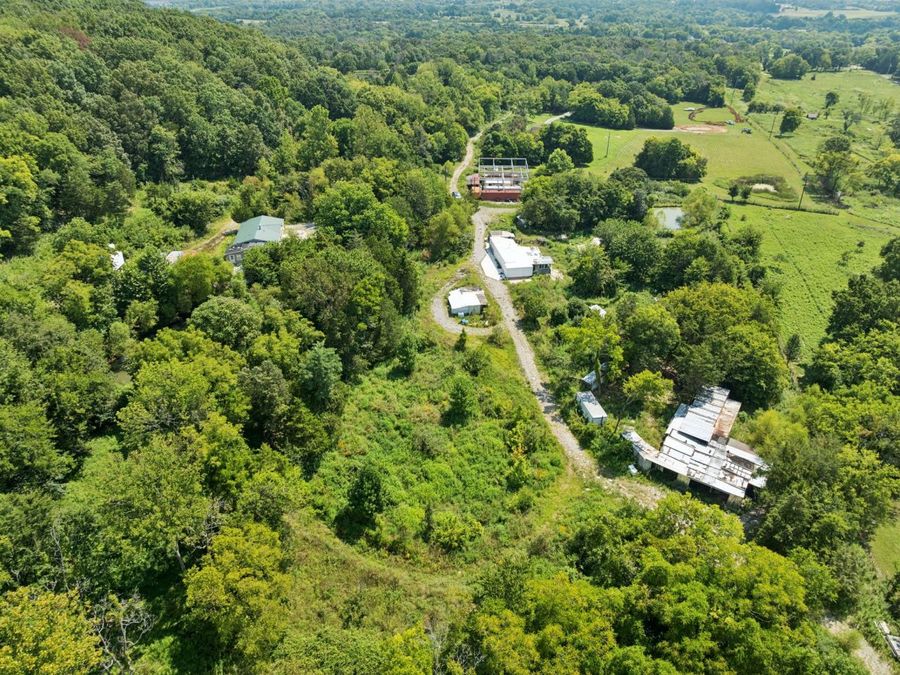 Property Image 9