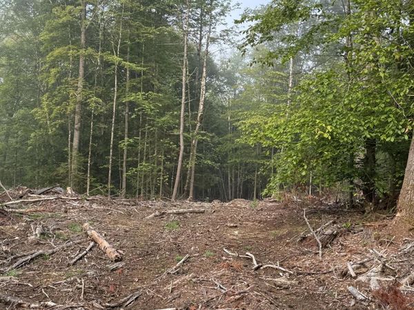 336 Dickinson Hill Road, Bolton, NY 12824