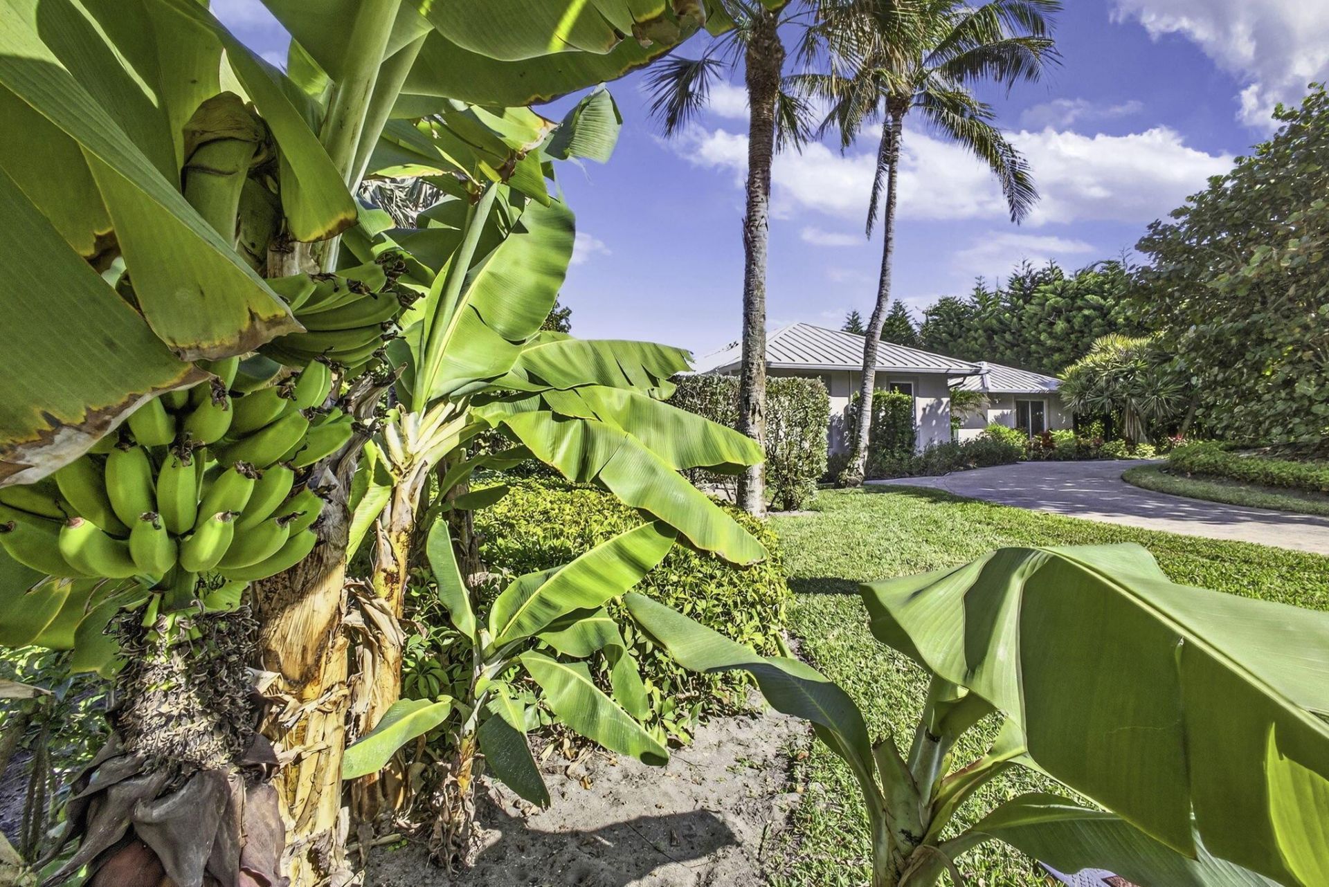 77 N Beach Road, Jupiter Island, FL 33455 Photo