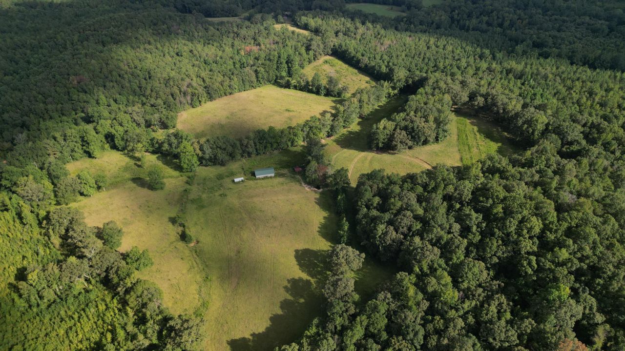 Tbd Jerico Rd, Golden, MS 38847 Main Photo