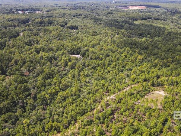 0 Mount Pilgrim Road, Eight Mile, AL 36613
