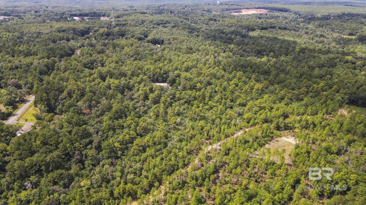 0 Mount Pilgrim Road, Eight Mile, AL 36613 Main Photo