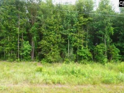 450 Neeses Highway, NEESES, SC 29107