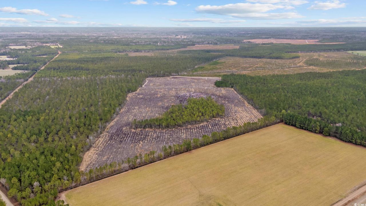 5550 Joyner Swamp Rd. Photo 15