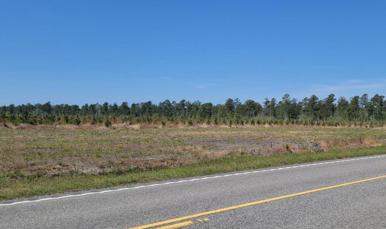 5550 Joyner Swamp Rd. Photo 21