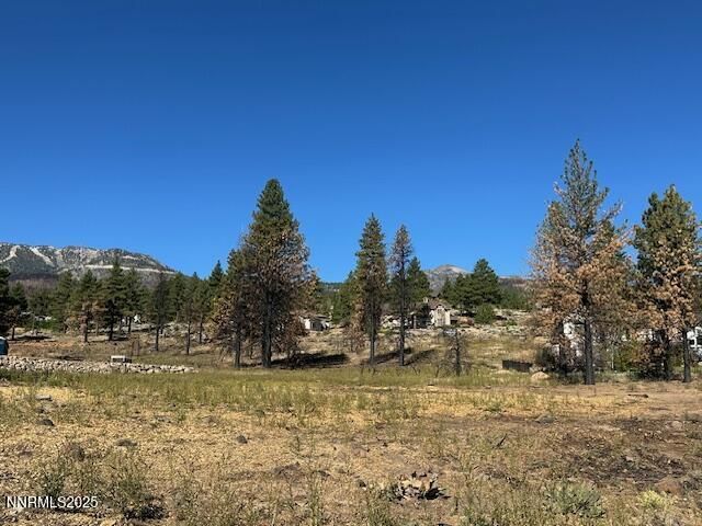 605 Sand Cherry Court, Reno, NV 89511 Photo