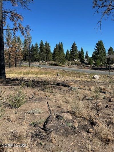 605 Sand Cherry Court, Reno, NV 89511 Photo