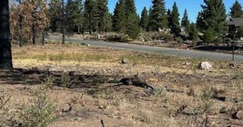 605 Sand Cherry Court, Reno, NV 89511 Photo