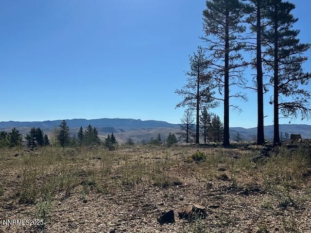 605 Sand Cherry Court, Reno, NV 89511 Photo