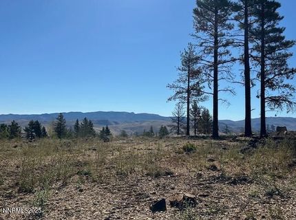 605 Sand Cherry Court, Reno, NV 89511 Photo