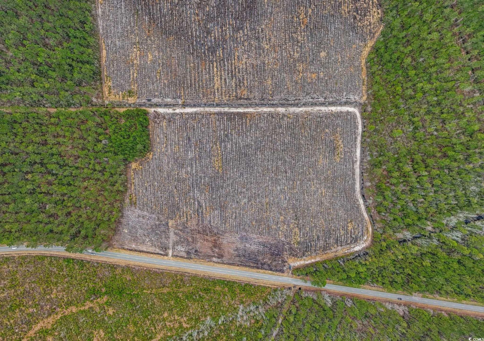 5540 Joyner Swamp Rd. Photo 18