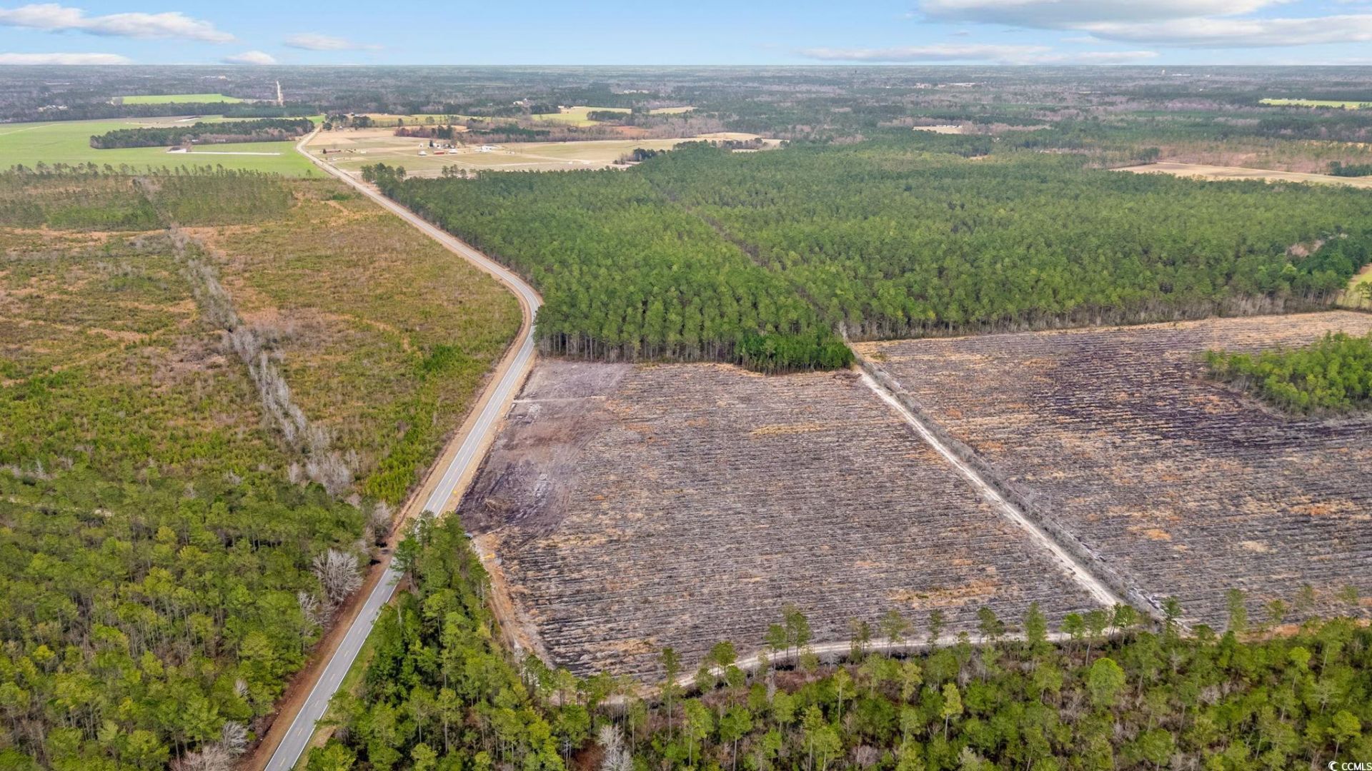 5570 Joyner Swamp Rd. Photo 13