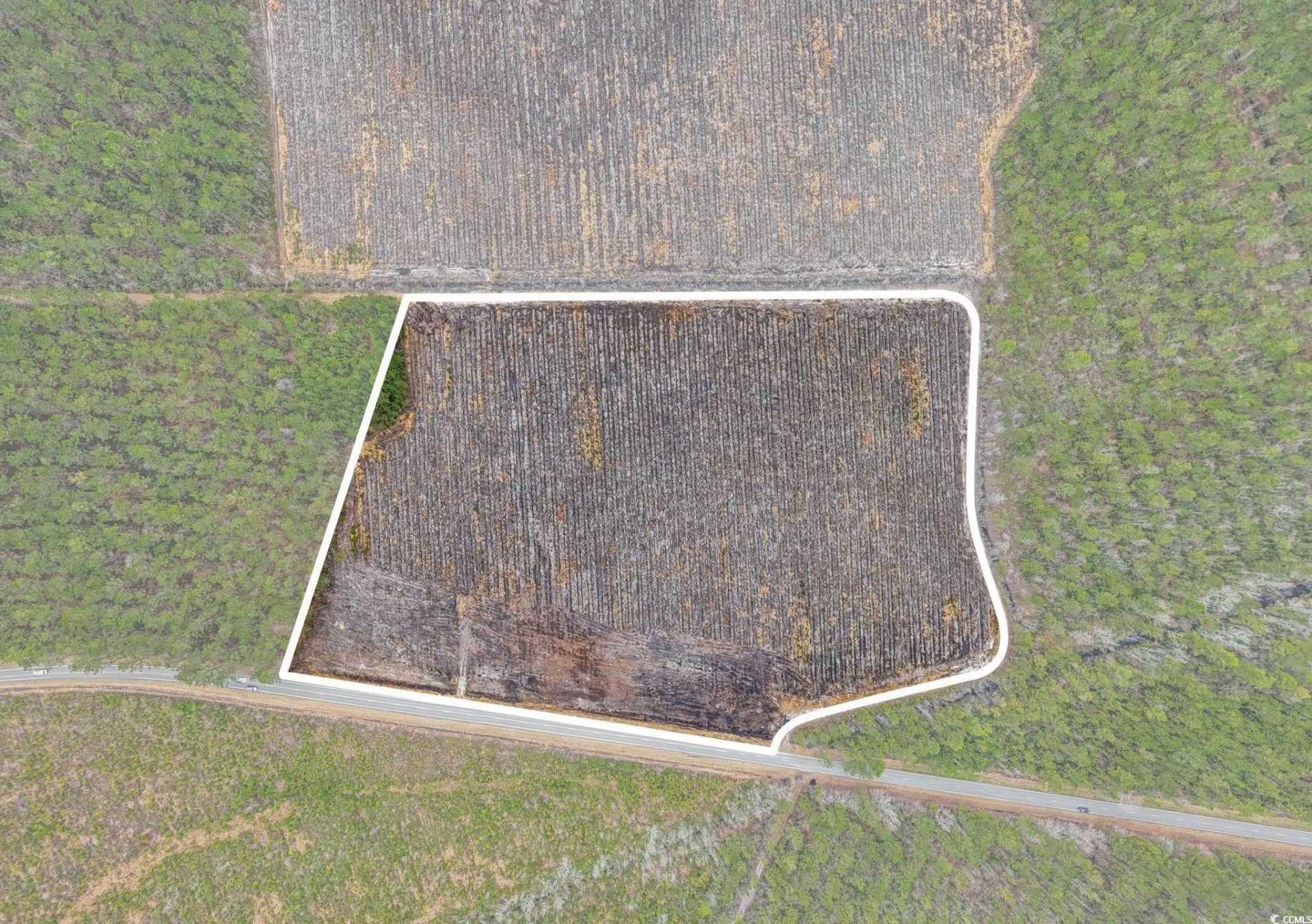 5570 Joyner Swamp Rd. Photo 19