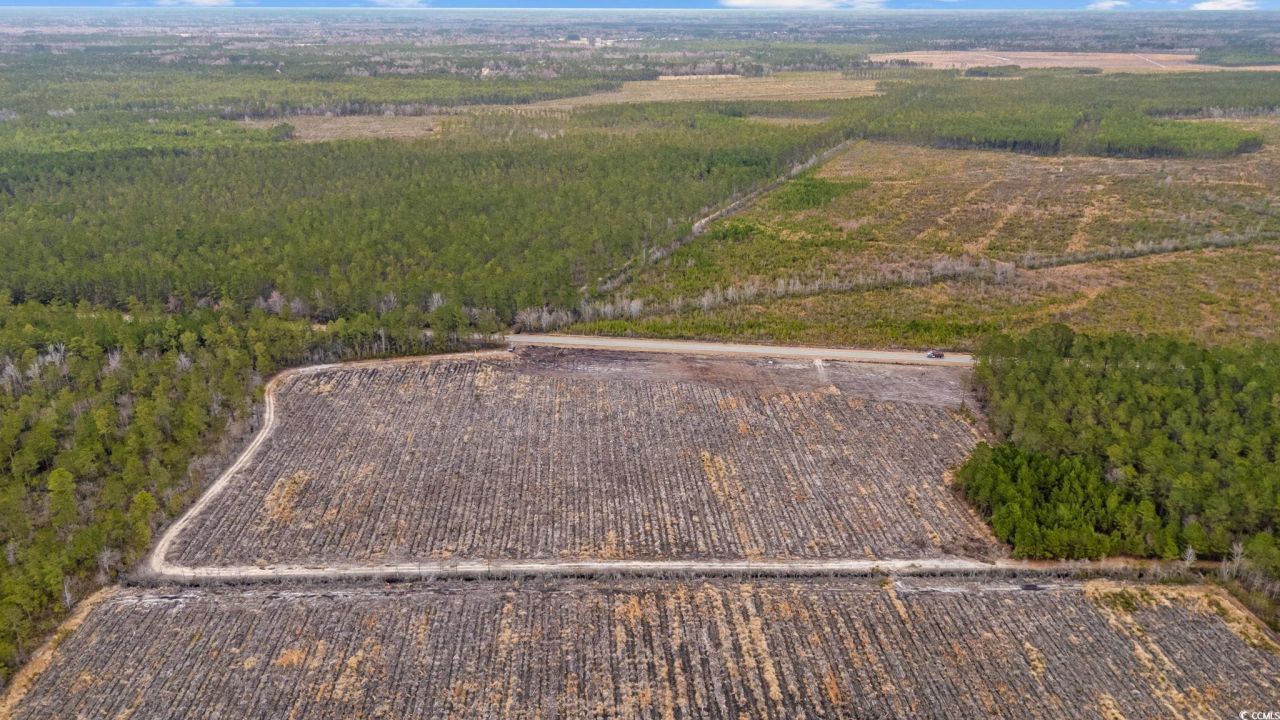 5580 Joyner Swamp Rd. Photo 11