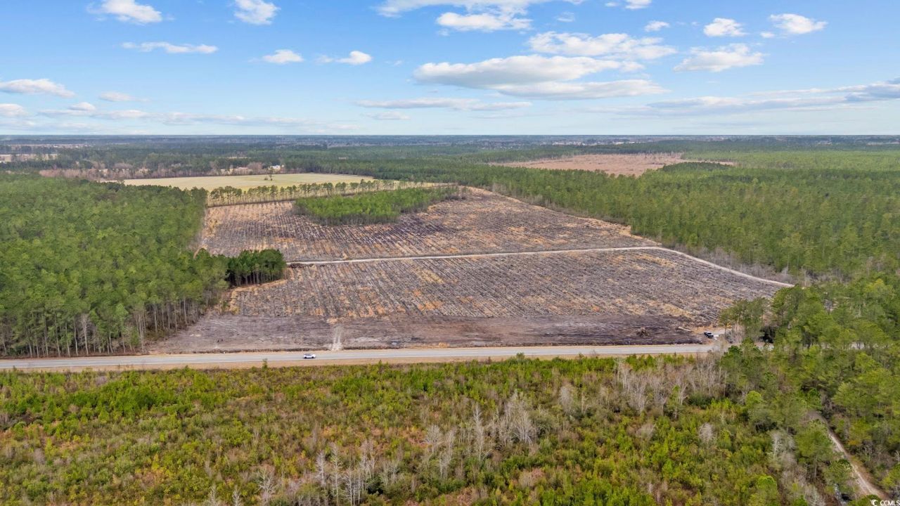 5580 Joyner Swamp Rd. Photo 14