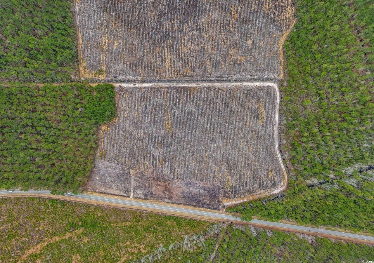 5580 Joyner Swamp Rd. Photo 17