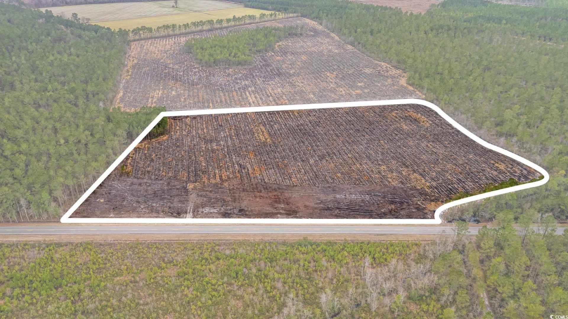 5590 Joyner Swamp Rd. Photo 21