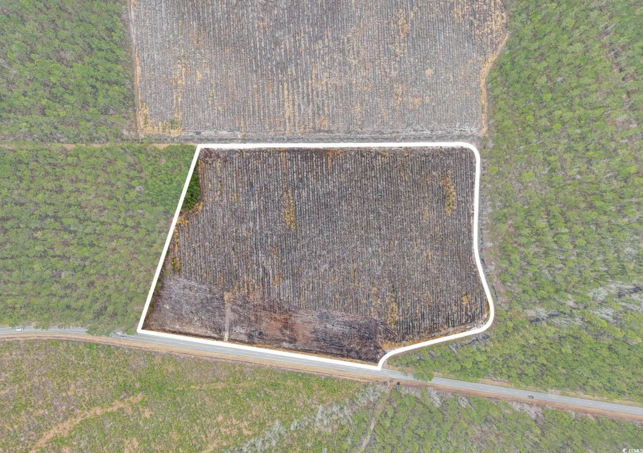 5560 Joyner Swamp Rd. Photo 18