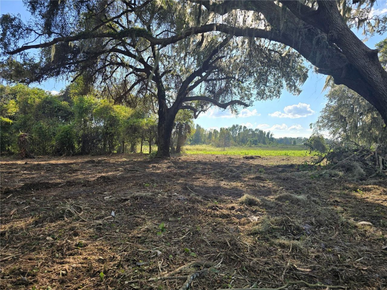 Cr 736, Center Hill, FL 33514 Photo