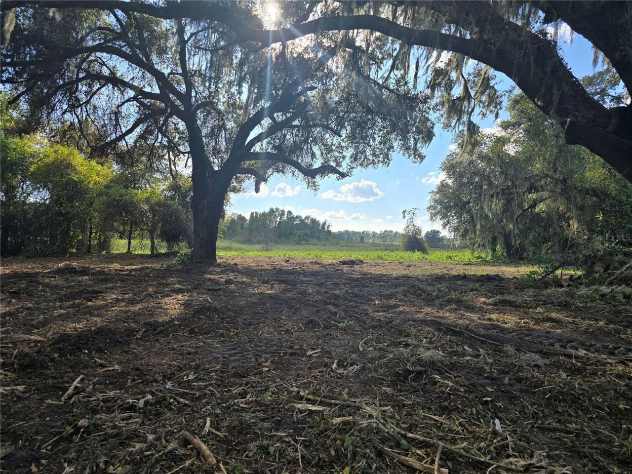 Cr 736, Center Hill, FL 33514 Photo