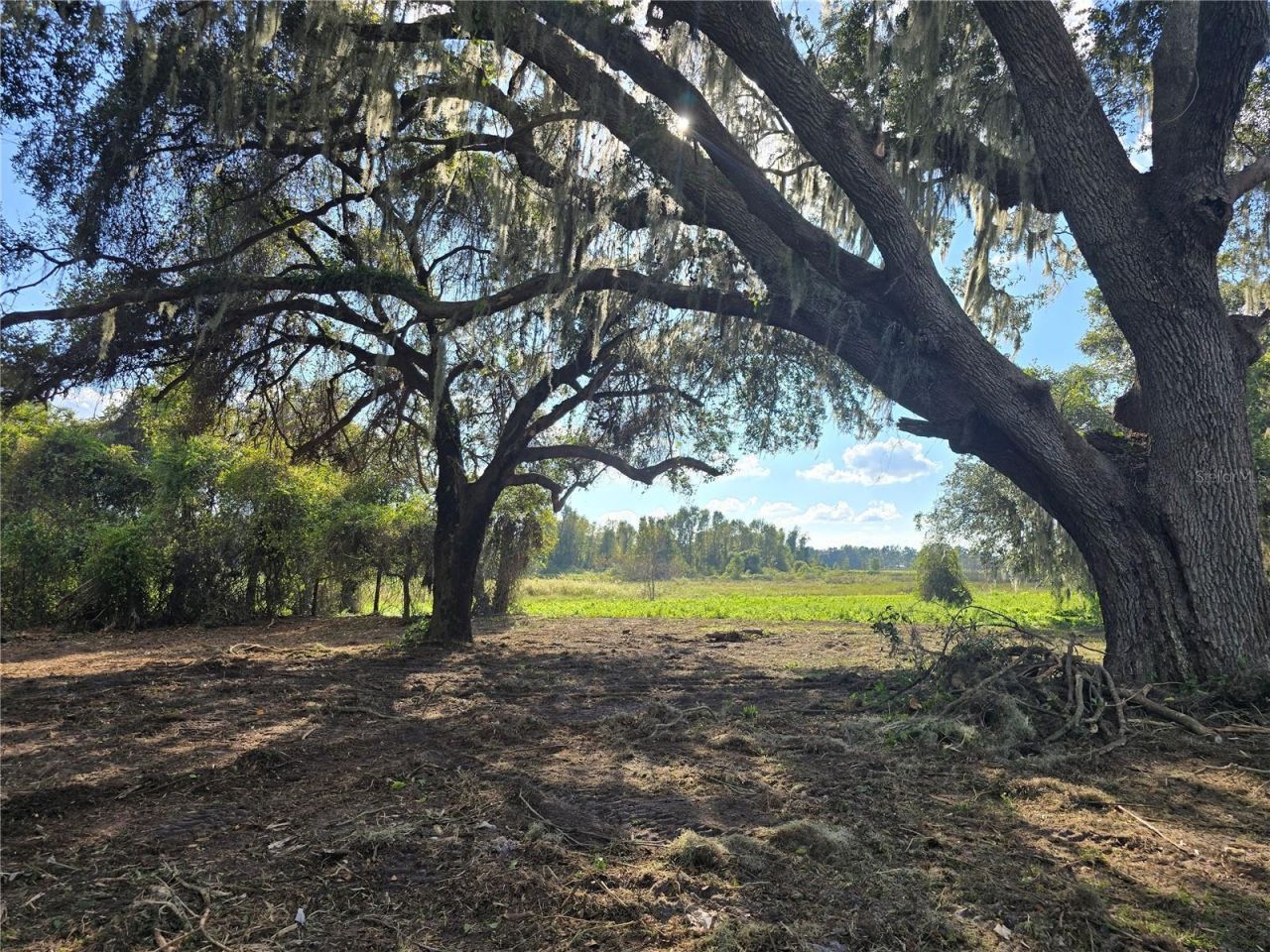 Cr 736, Center Hill, FL 33514 Photo