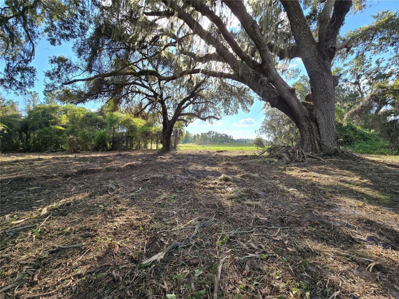 Cr 736, Center Hill, FL 33514 Photo