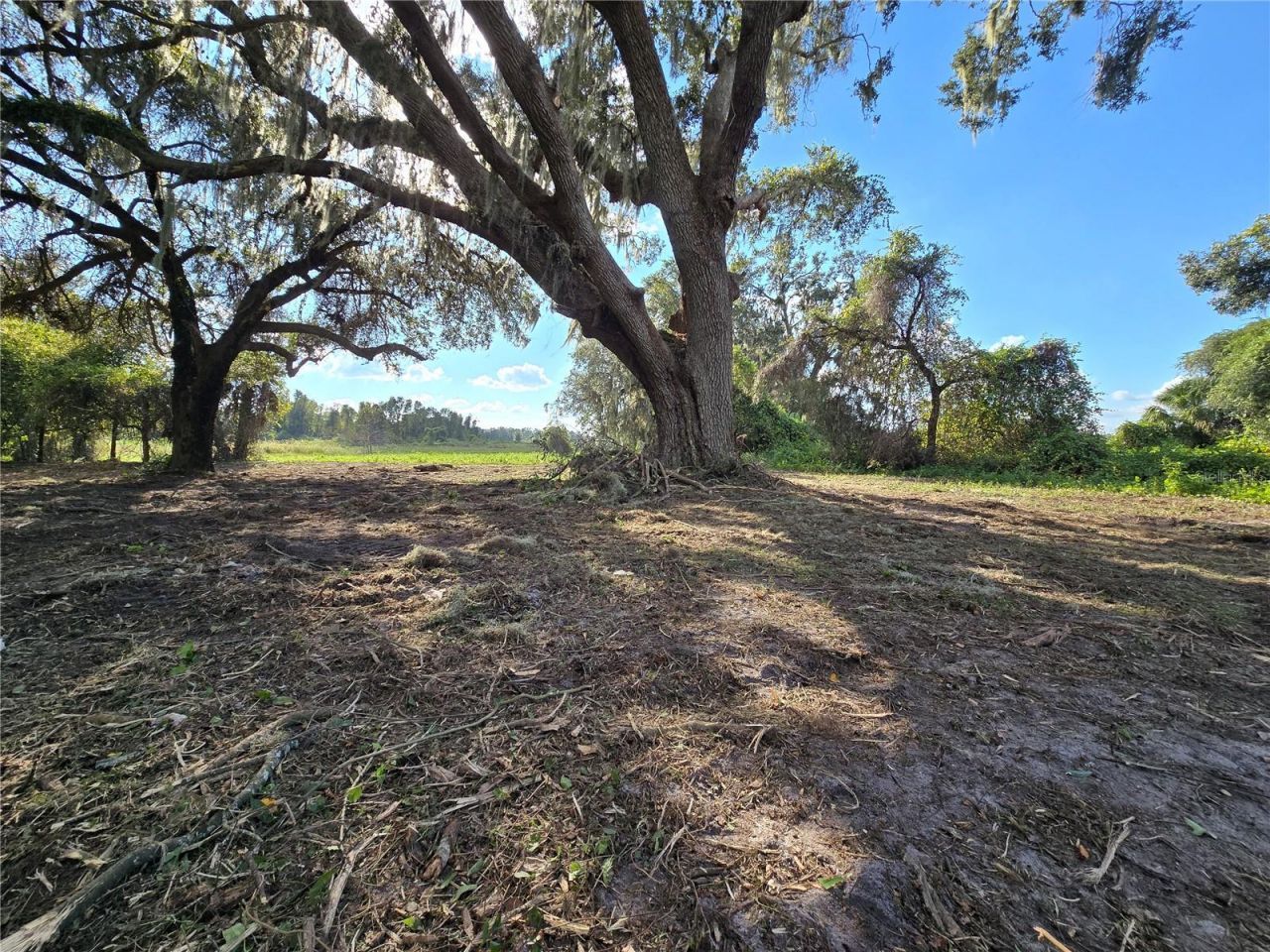 Cr 736, Center Hill, FL 33514 Photo