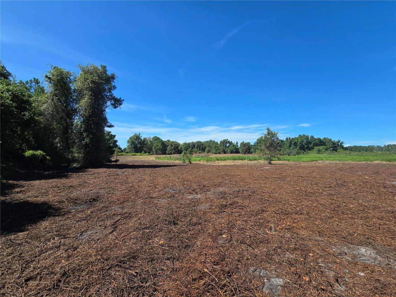 Cr 736, Center Hill, FL 33514 Photo