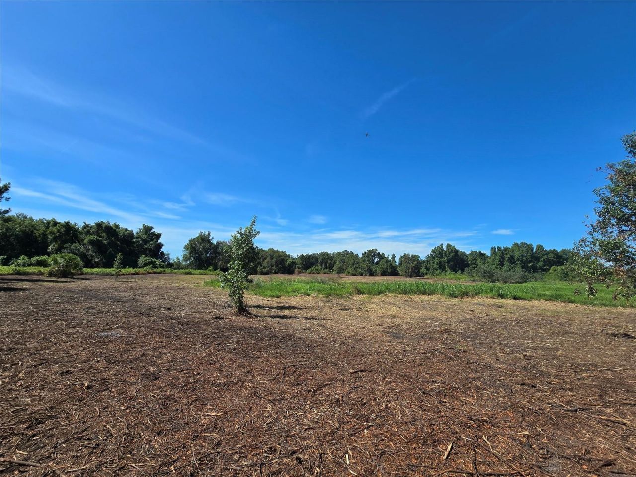 Cr 736, Center Hill, FL 33514 Photo