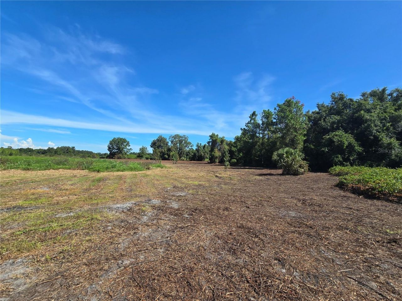 Cr 736, Center Hill, FL 33514 Photo