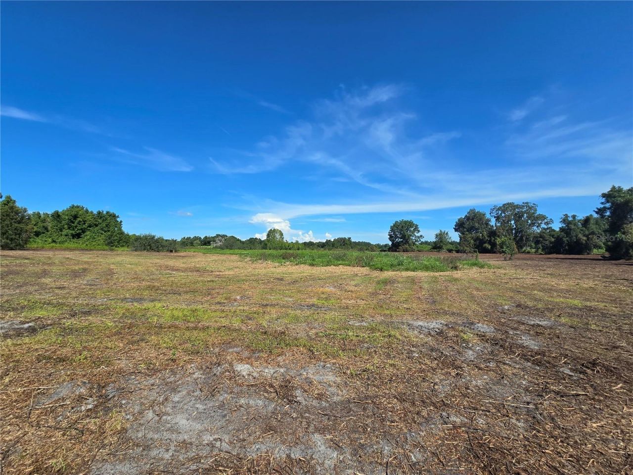 Cr 736, Center Hill, FL 33514 Photo