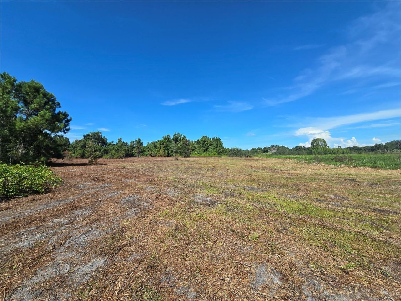 Cr 736, Center Hill, FL 33514 Photo