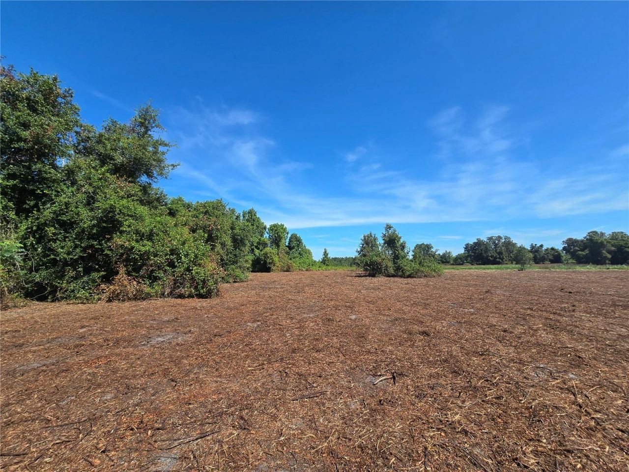 Cr 736, Center Hill, FL 33514 Photo