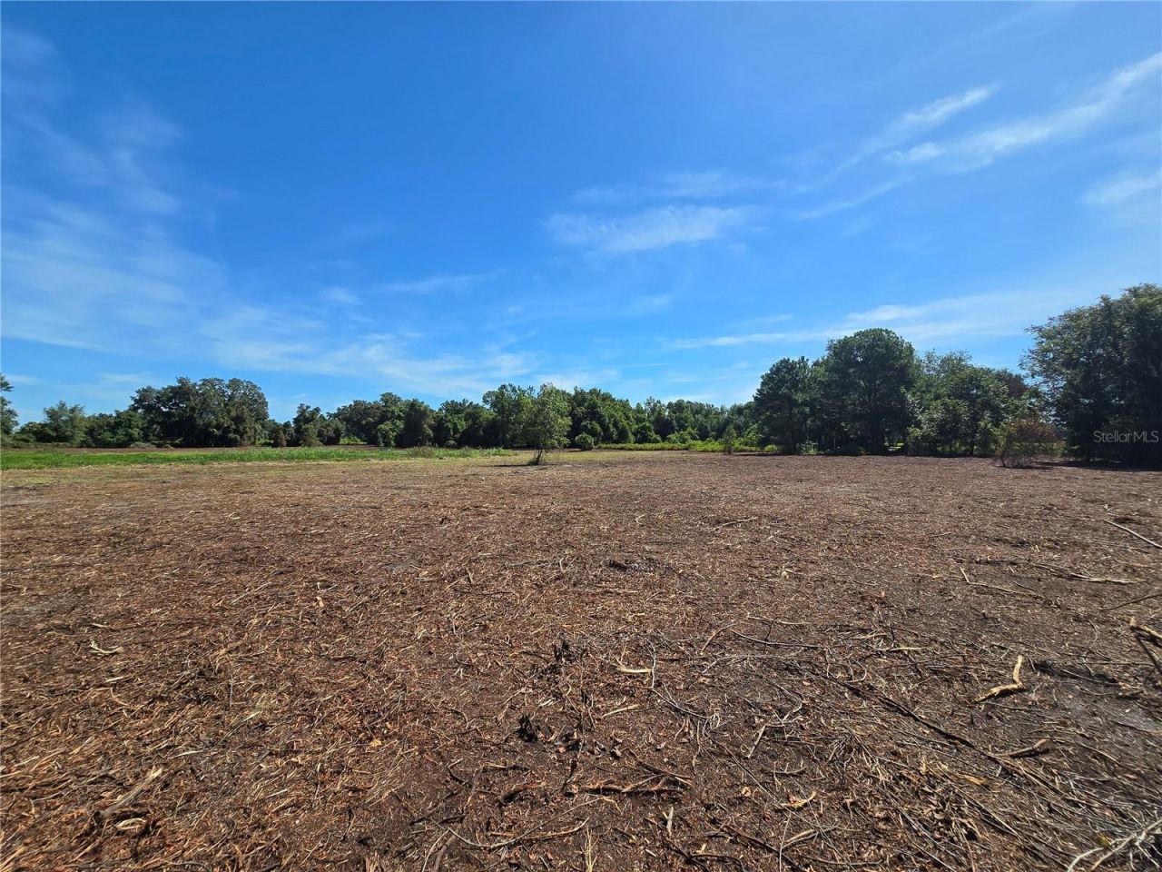 Cr 736, Center Hill, FL 33514 Photo