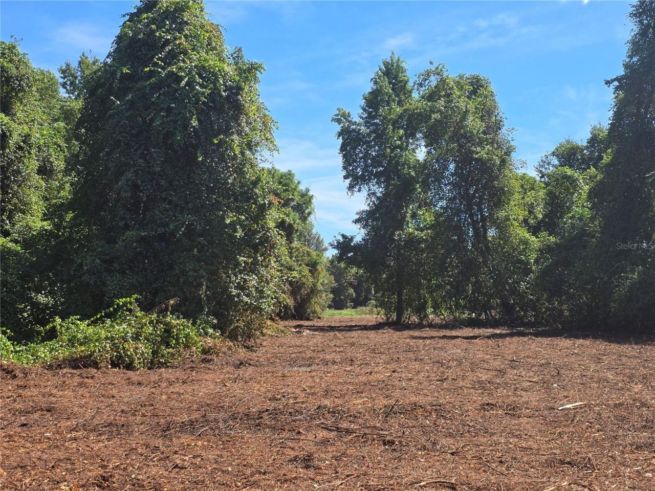 Cr 736, Center Hill, FL 33514 Photo