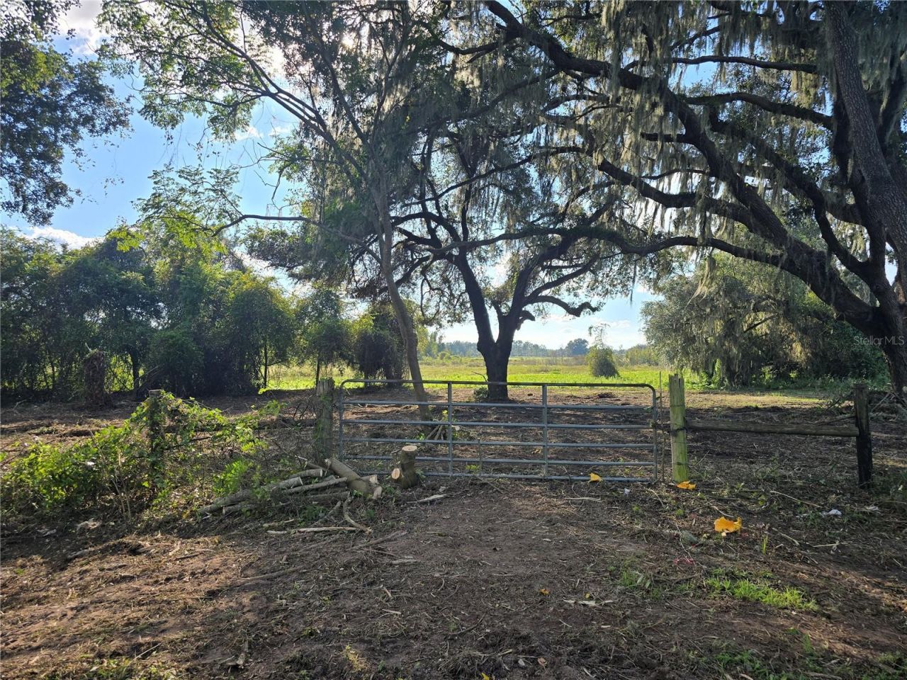 Cr 736, Center Hill, FL 33514 Photo