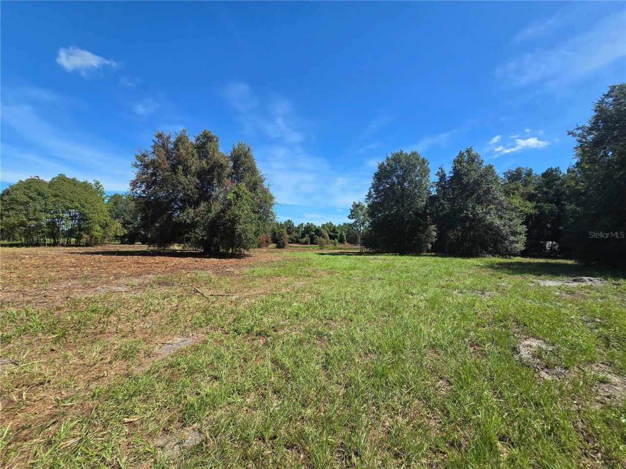 Cr 736, Center Hill, FL 33514 Photo