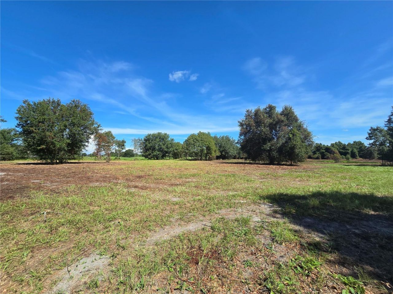 Cr 736, Center Hill, FL 33514 Photo