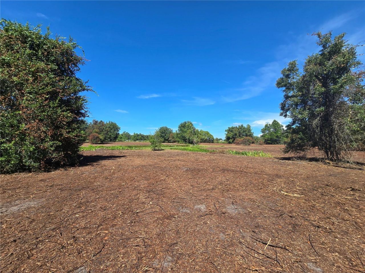 Cr 736, Center Hill, FL 33514 Photo