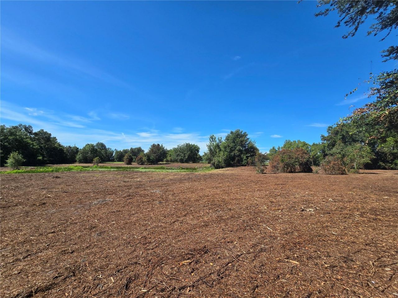 Cr 736, Center Hill, FL 33514 Photo