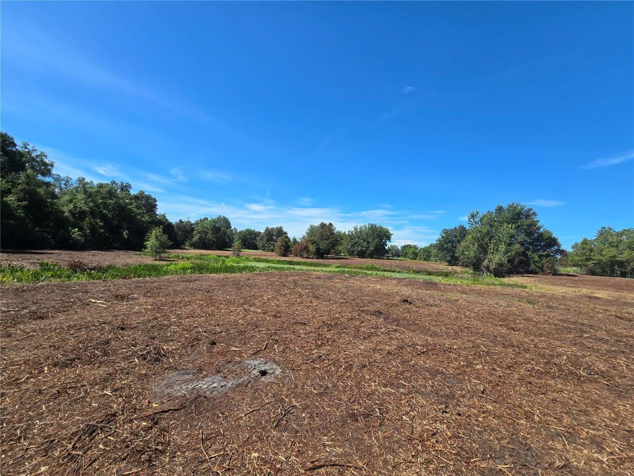 Cr 736, Center Hill, FL 33514 Photo