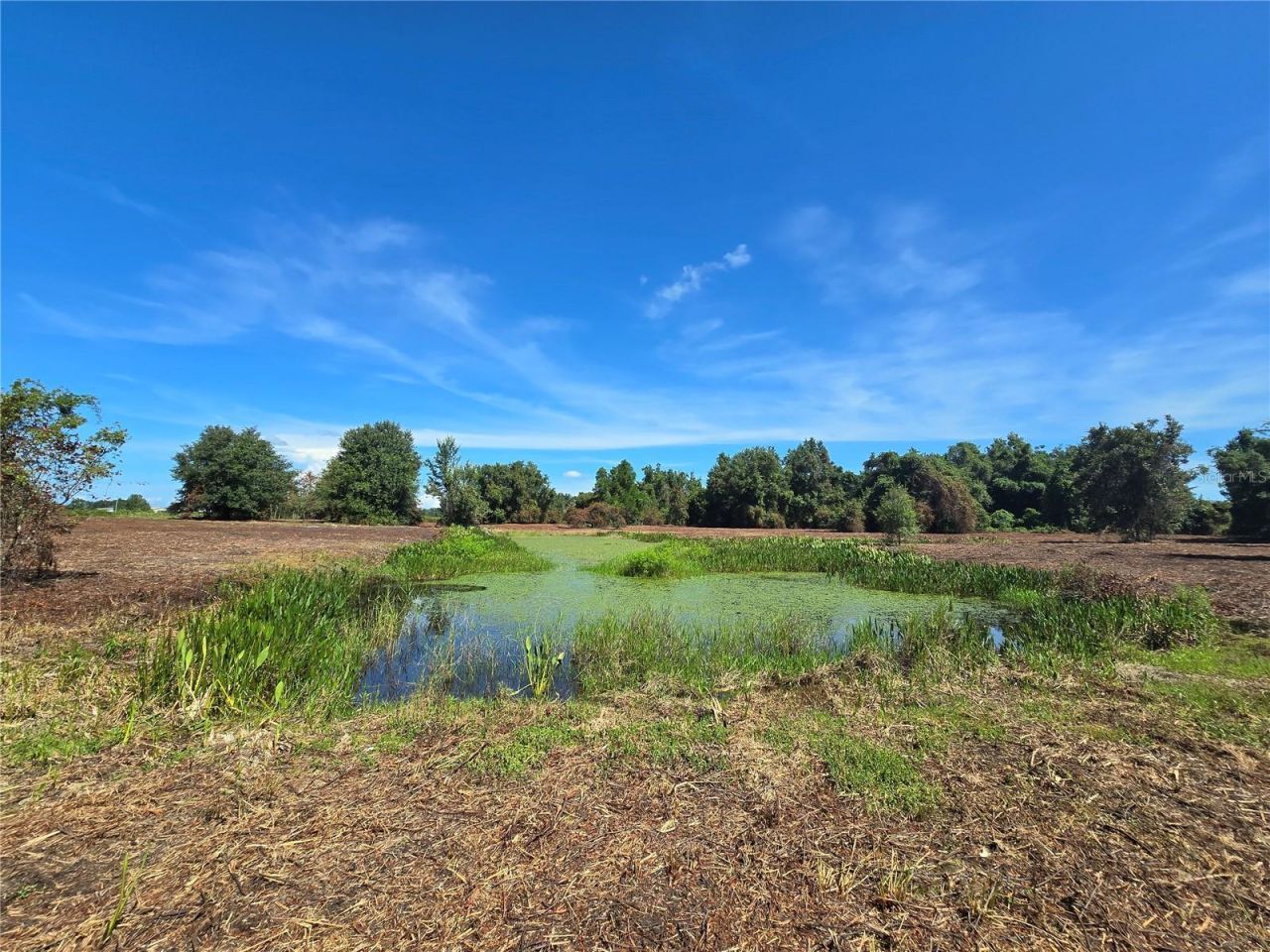 Cr 736, Center Hill, FL 33514 Photo