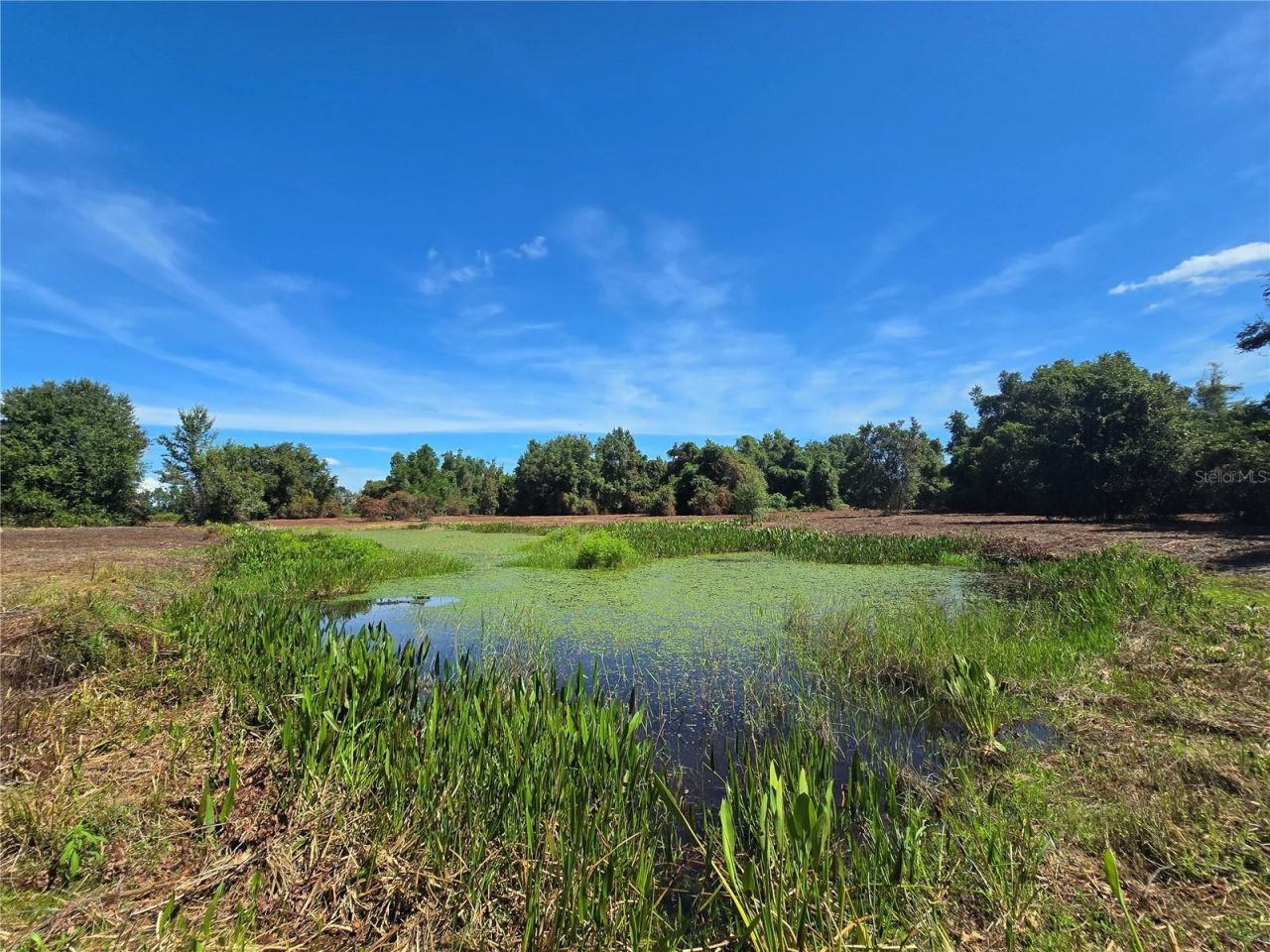 Cr 736, Center Hill, FL 33514 Photo